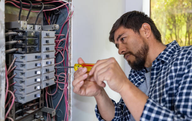 Best Ceiling Fan Installation Electrician  in Flossmoor, IL